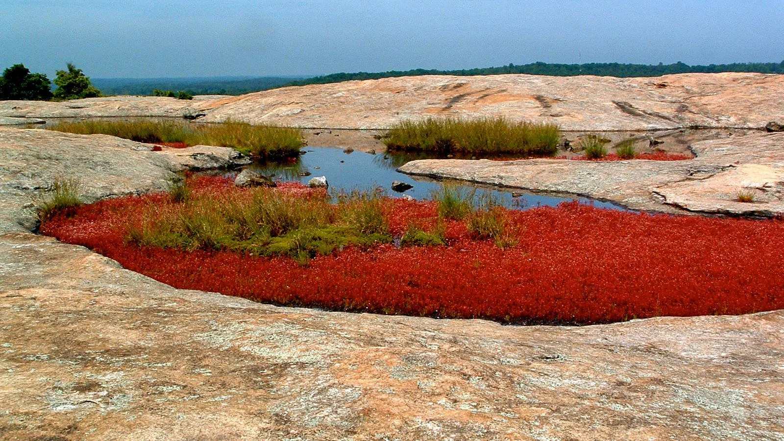 #7. Arabia Mountain National Heritage Area