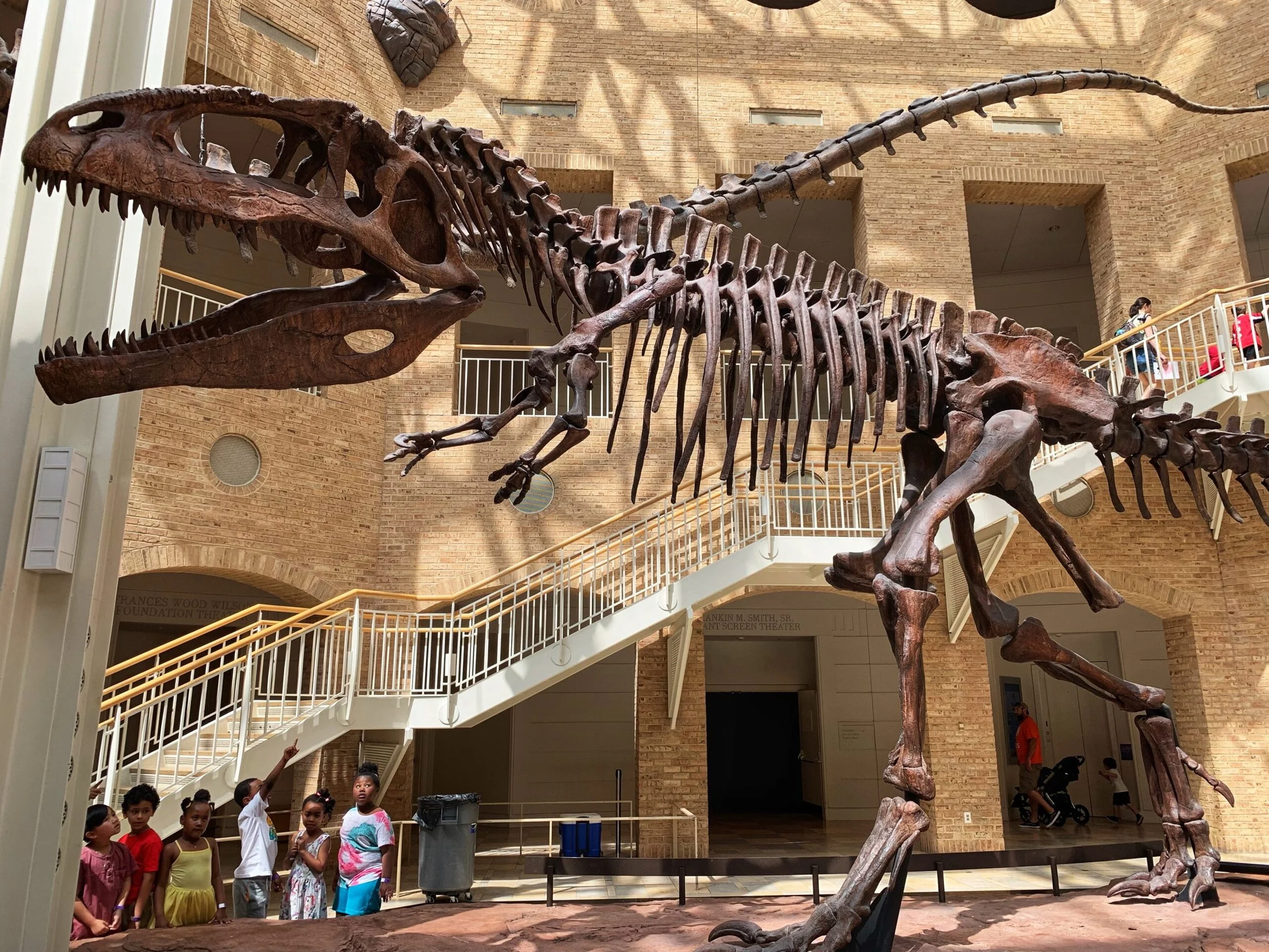 Fernbank Museum