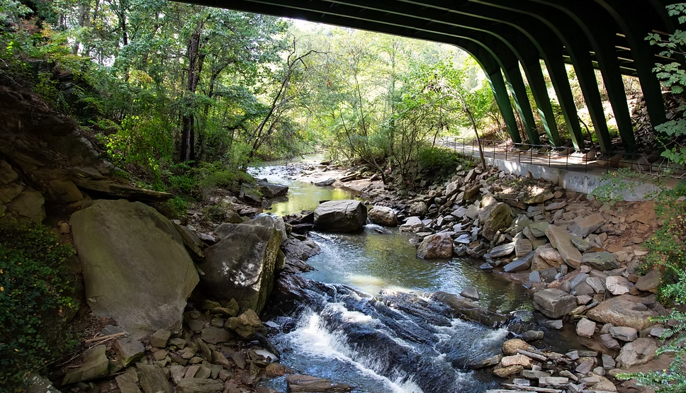 Paces Mill Park 