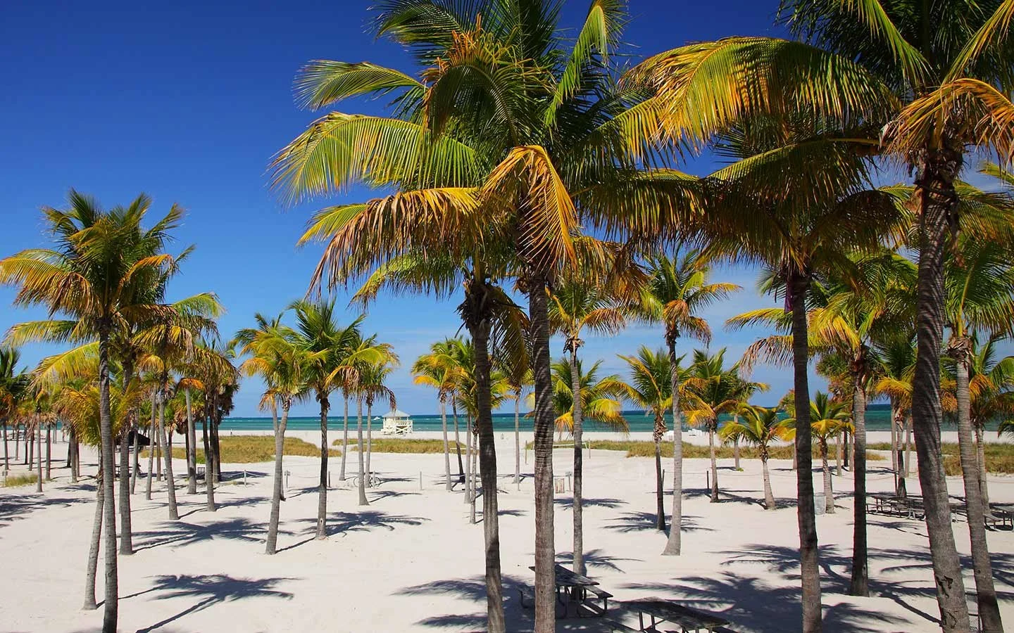 Crandon Park Beach