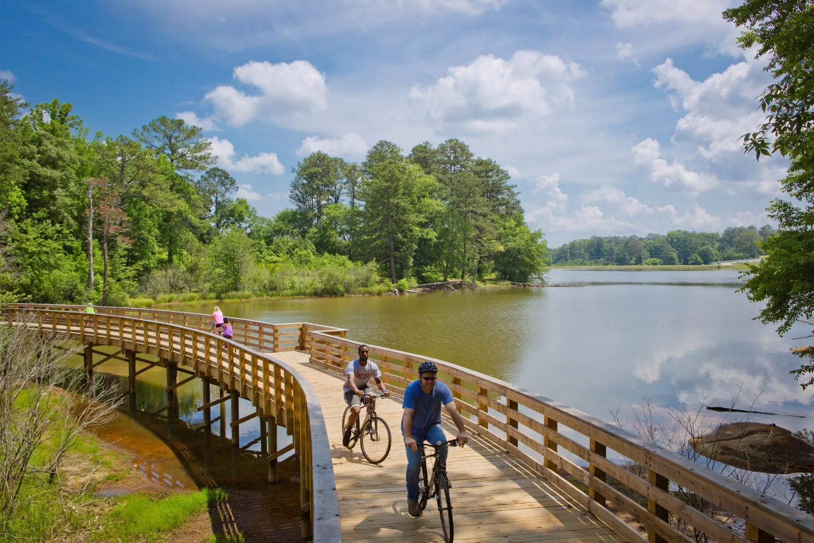 Panola Mountain State Park