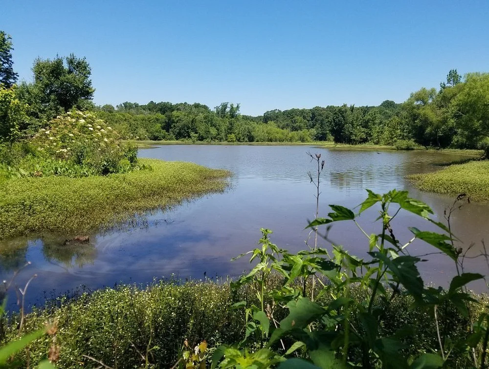 Constitution Lakes & Doll's Head Trail