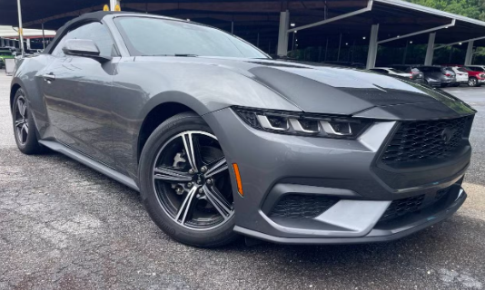 Rental Cars
