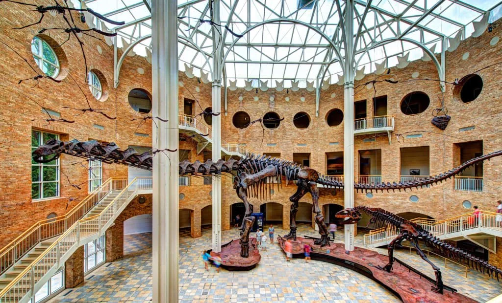 Fernbank Museum of Natural History
