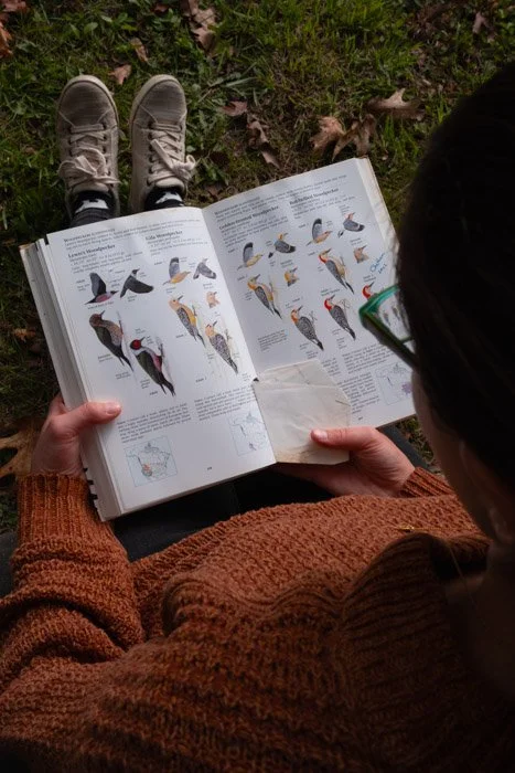 CHATHAM, N.Y. (Oct. 512 2025) — Abby Riddell-Young scans the treetops for birds while hiking a wooded trail in Chatham, a rural town in upstate New York. She hikes regularly throughout the region to observe and identify native bird species, often lo