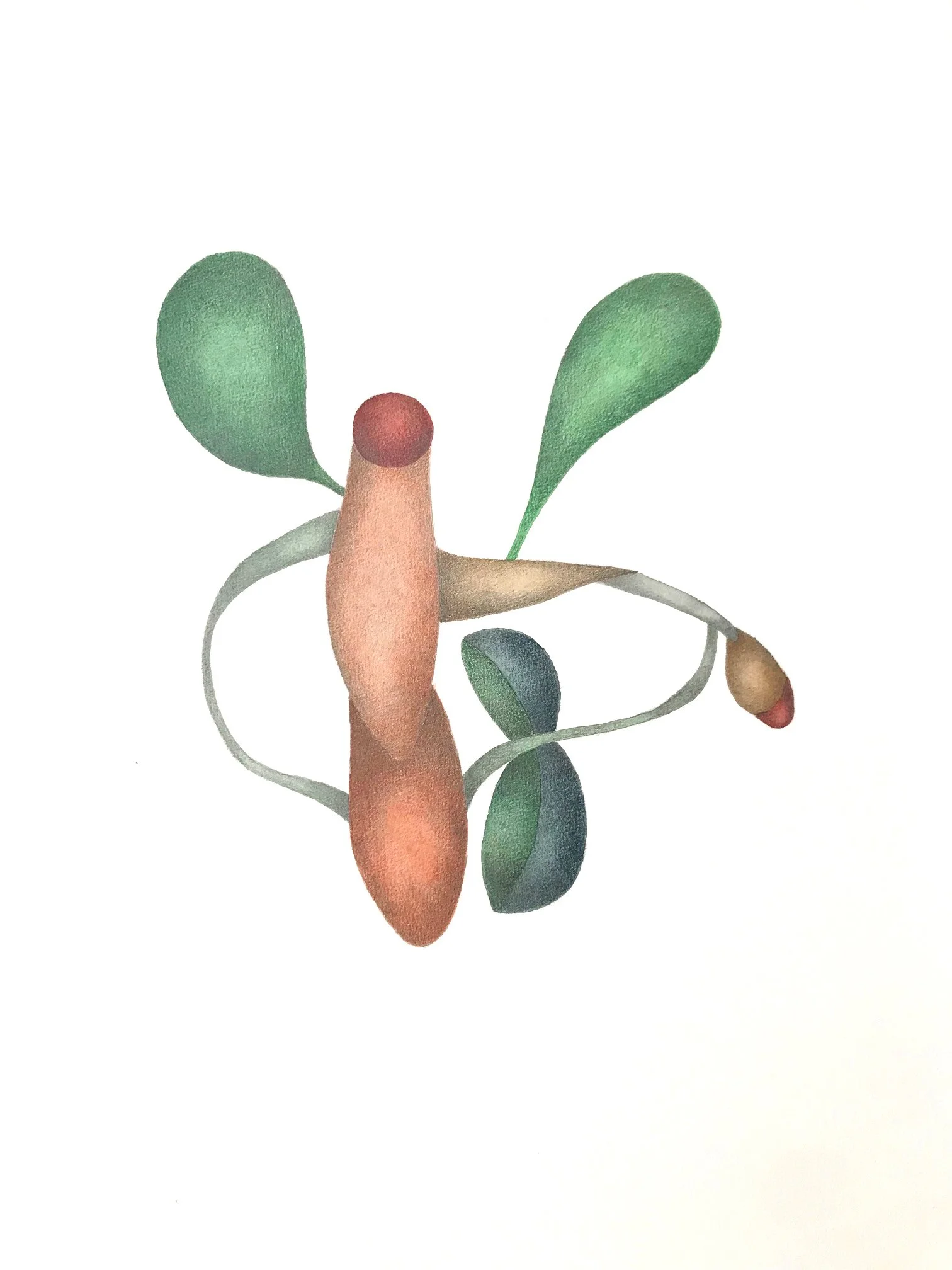 "balance" 2025 / serie "anusara" / 29,7 x 42 cm / watercolor & pencil on paper / Ref.Nr. JVH-D06/04