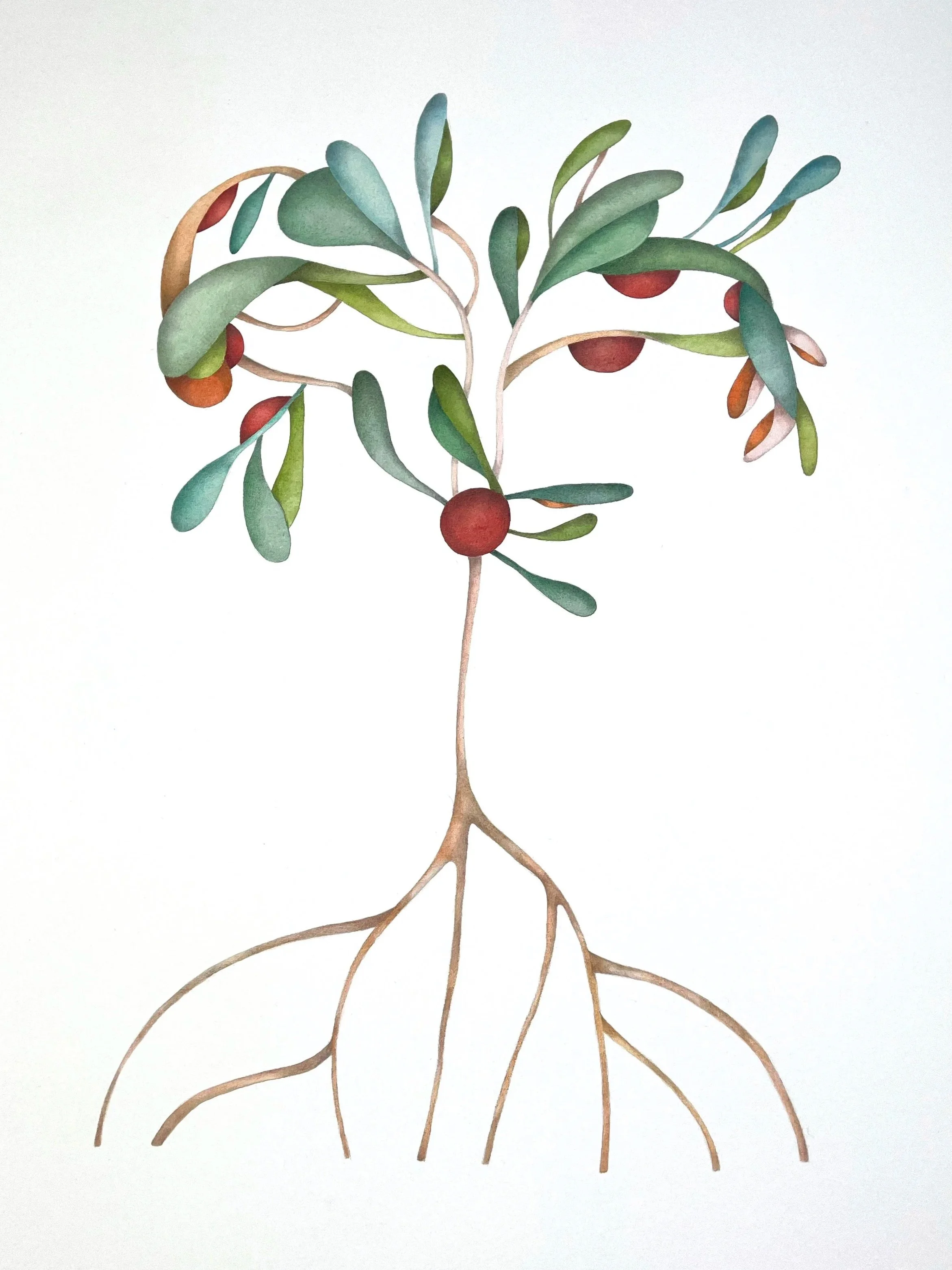 "soil" 2025 / serie "anusara" /78 x 106 cm / watercolor & pencil on paper / Ref.Nr. JVH-D06/09