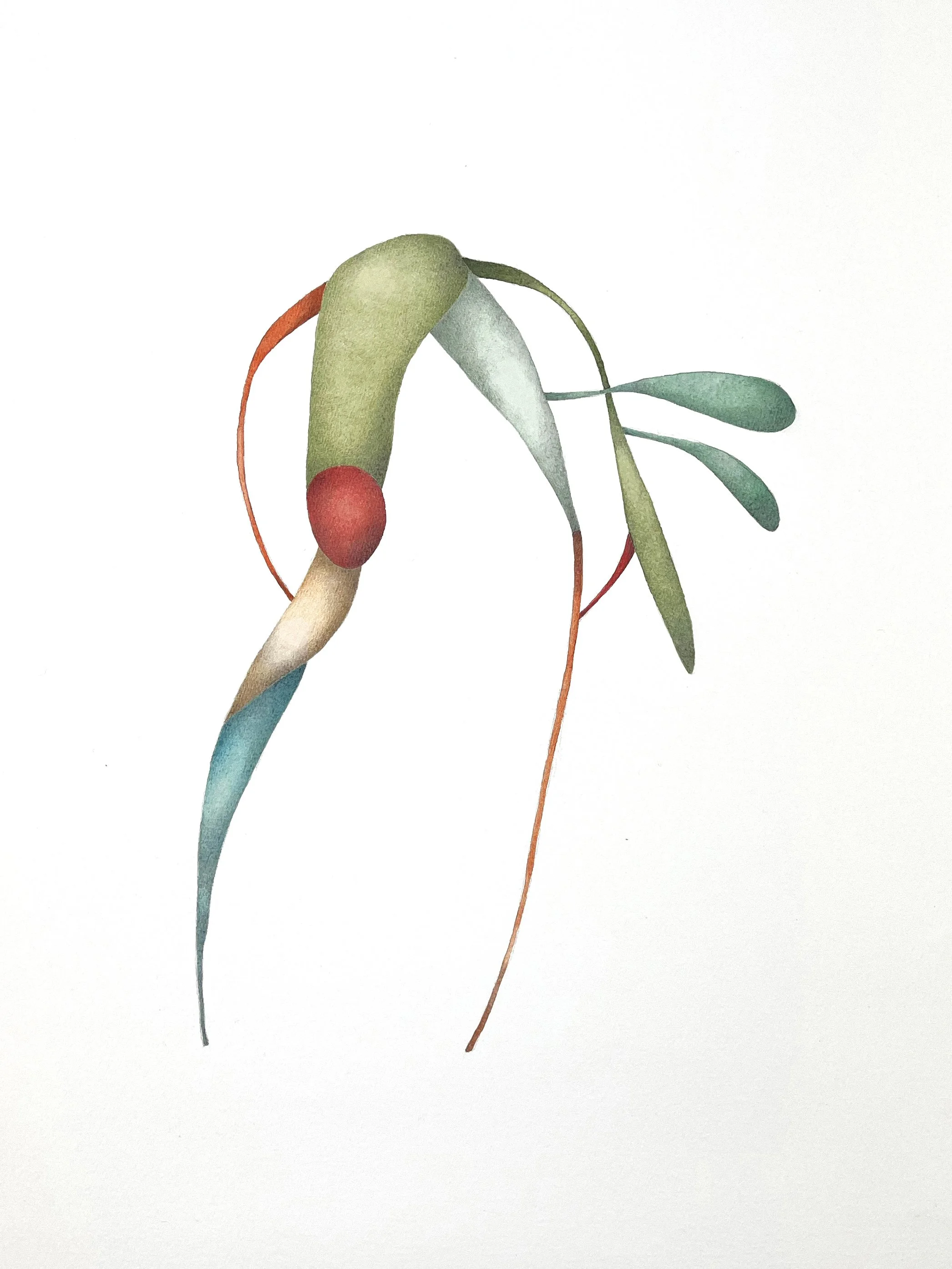 "gravity" 2026 / serie "anusara" / 39 x 53 cm / watercolor & pencil on paper / Ref.Nr. JVH-D06/012