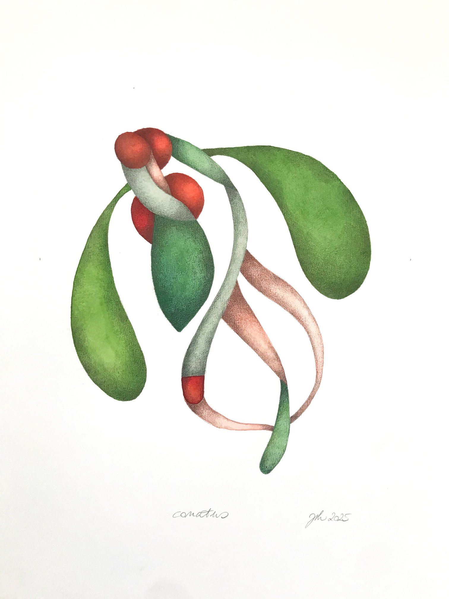 "conatus" 2026 / serie "anusara" / 29,7 x 42 cm / watercolor & pencil on paper / Ref.Nr. JVH-D06/03