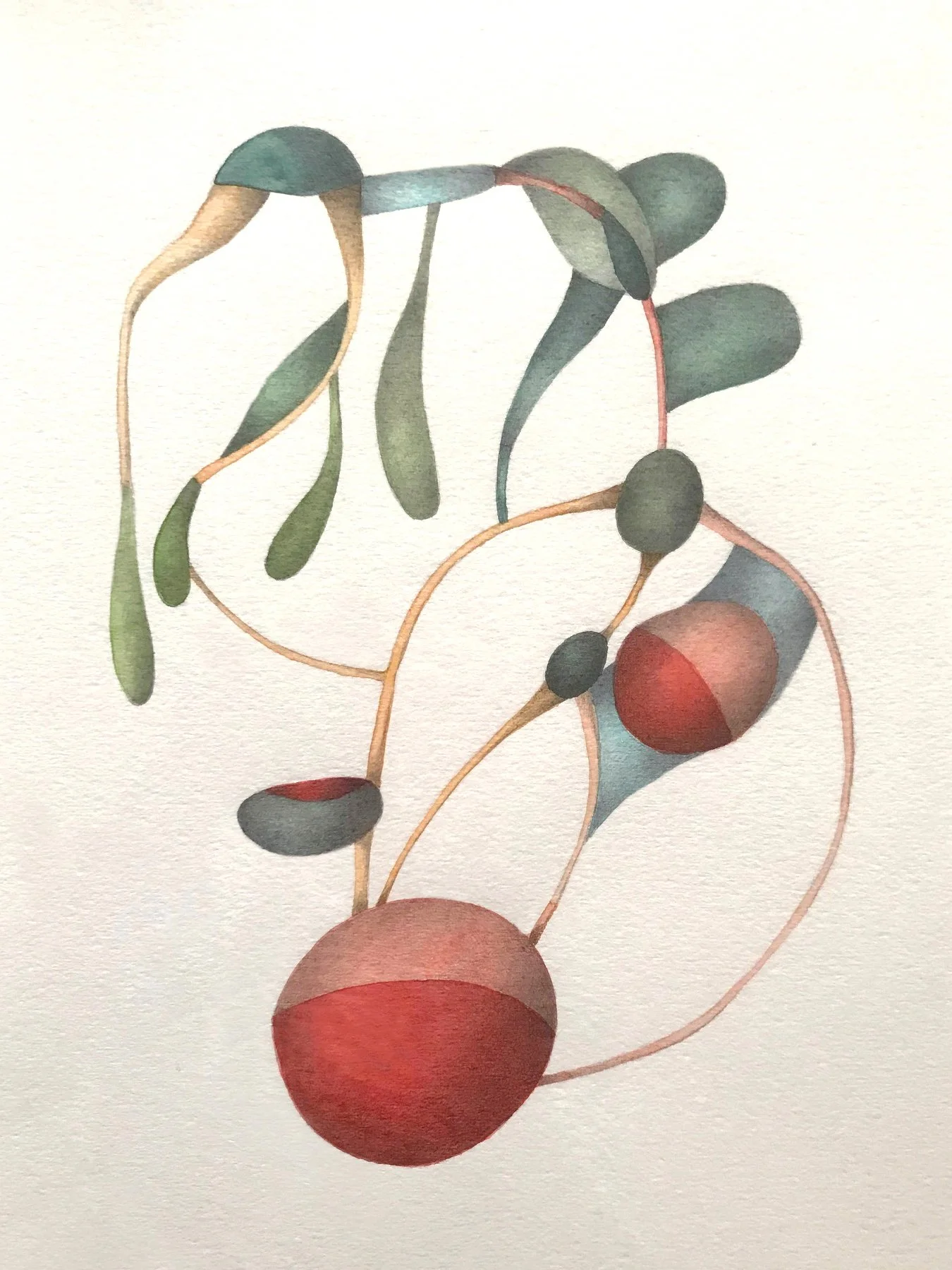 "seed dormancy" / 2024 / 30 x 40 cm / watercolor & pencil on paper Fabriano 300 gsm / Ref.Nr. JVH - D05/001
