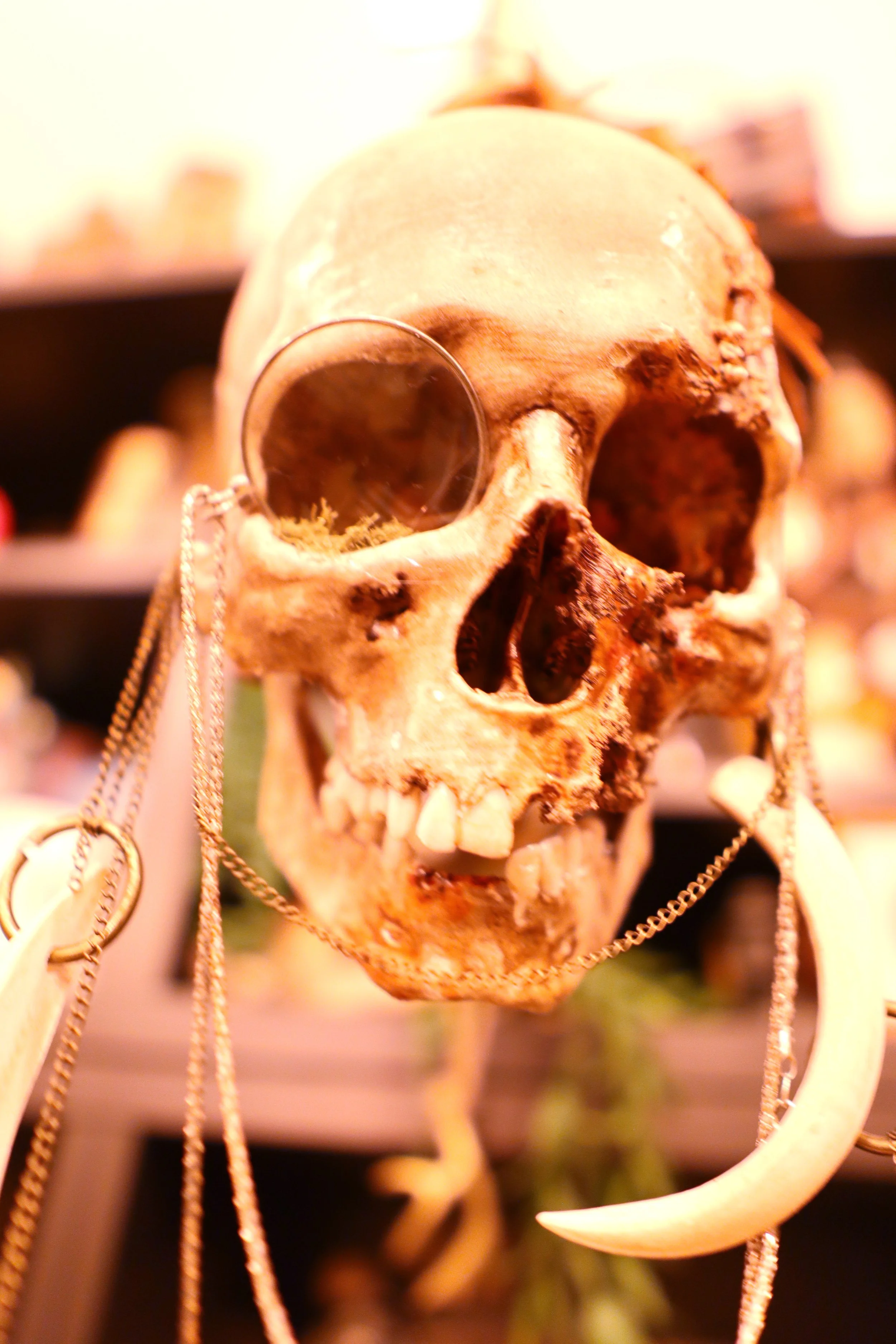 IMG_3444.JPG