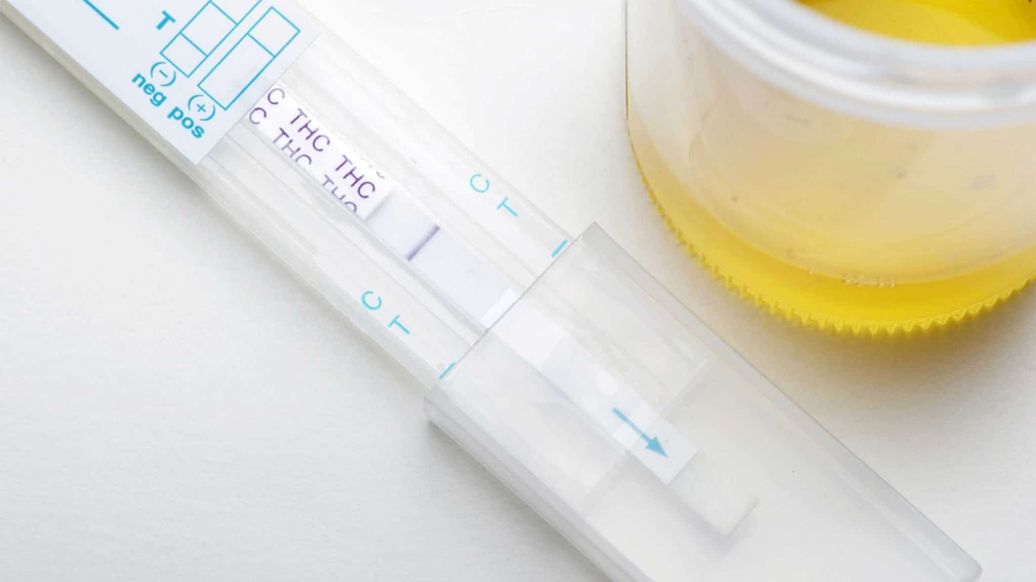 How long can you test positive for marijuana on a drug test? — Gaize