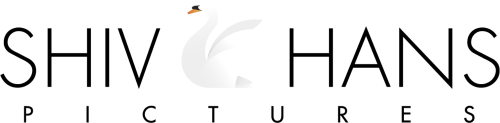 A white swan swimming on a dark body of water.