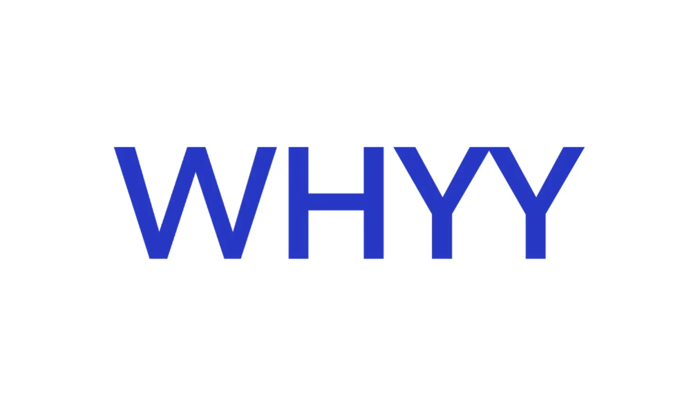 The word 'WHY' written in large blue letters on a plain white background.