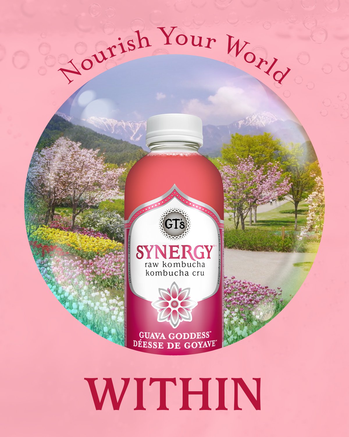 GTs-Synergy-4x5-GuavaGoddess.jpg