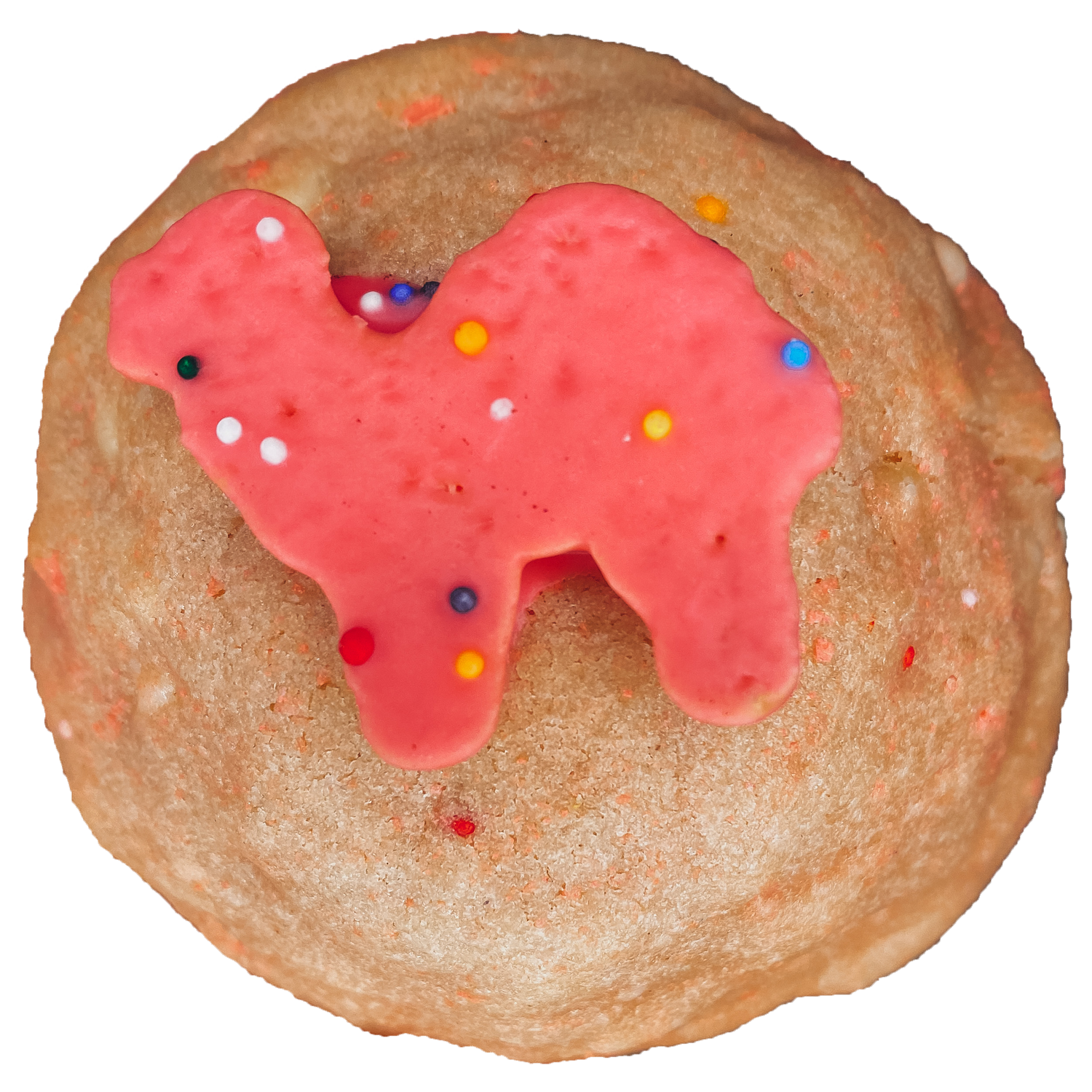 partyanimal.png