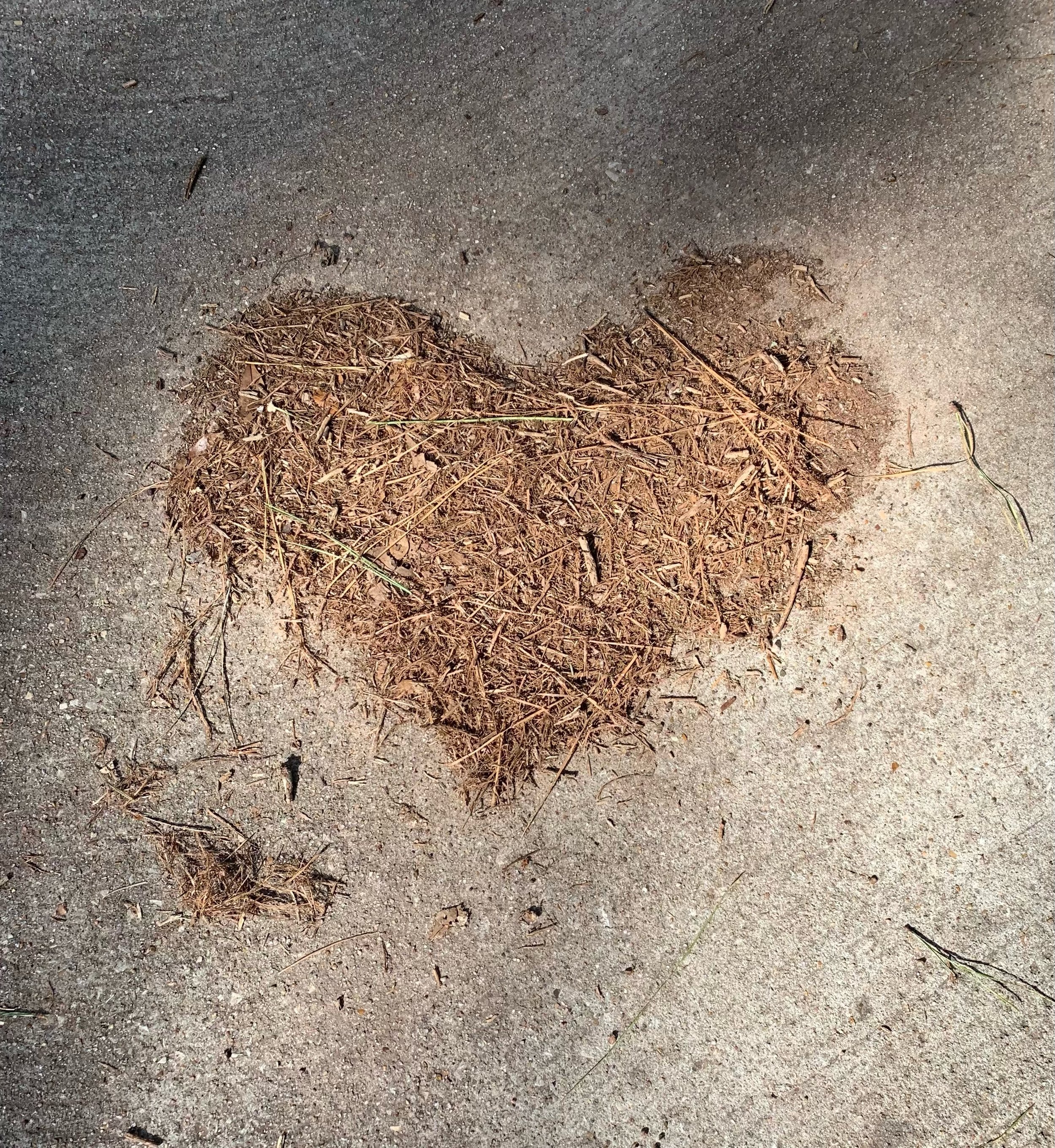 Limbic Resonance: The Science of Emotional Connection in Therapy