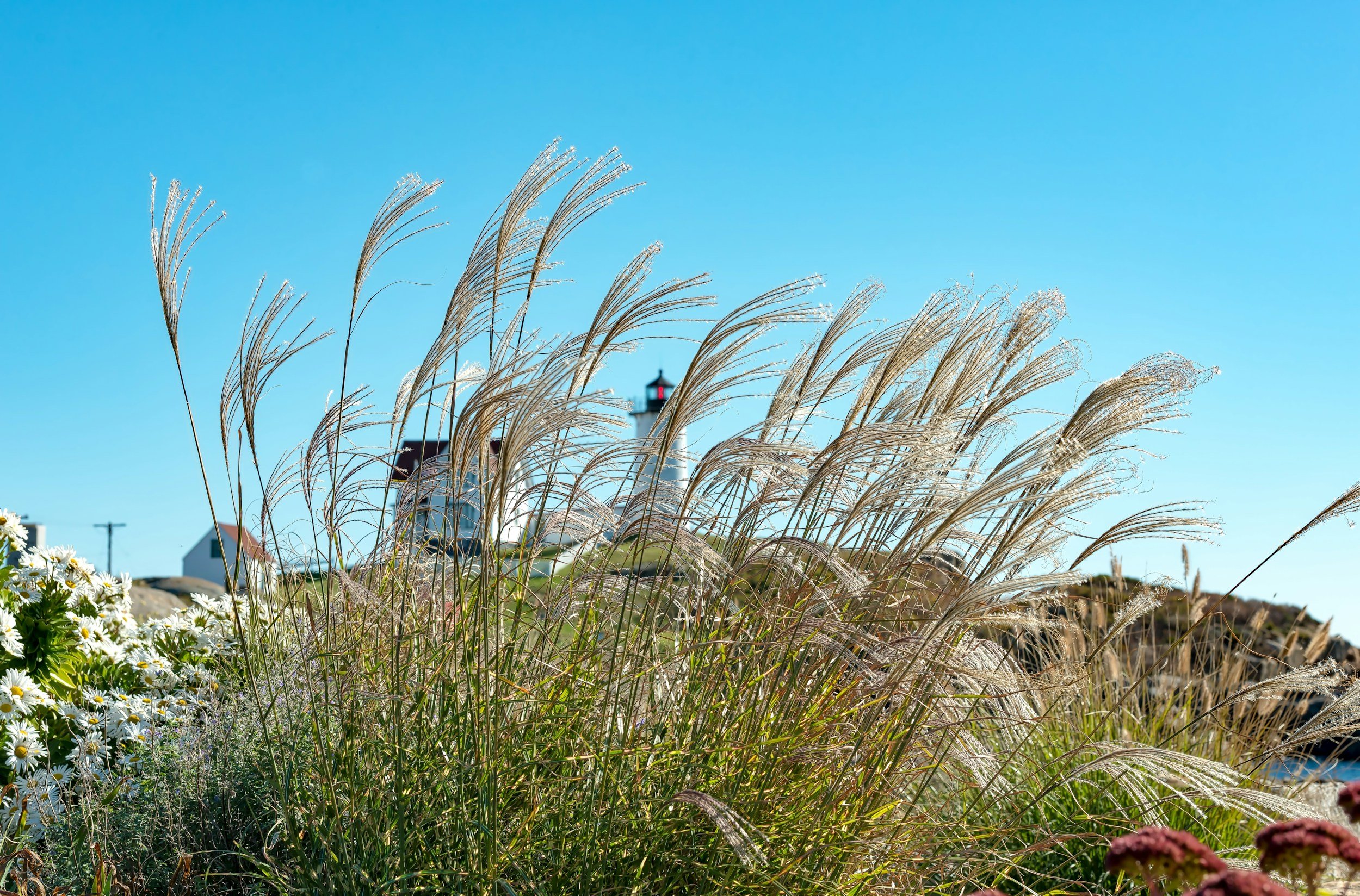 York Harvestfest, Short Sands Beach, York, ME
