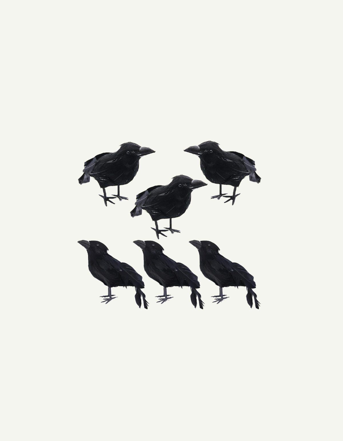 crows.jpg