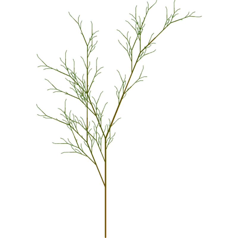 Tree3.png