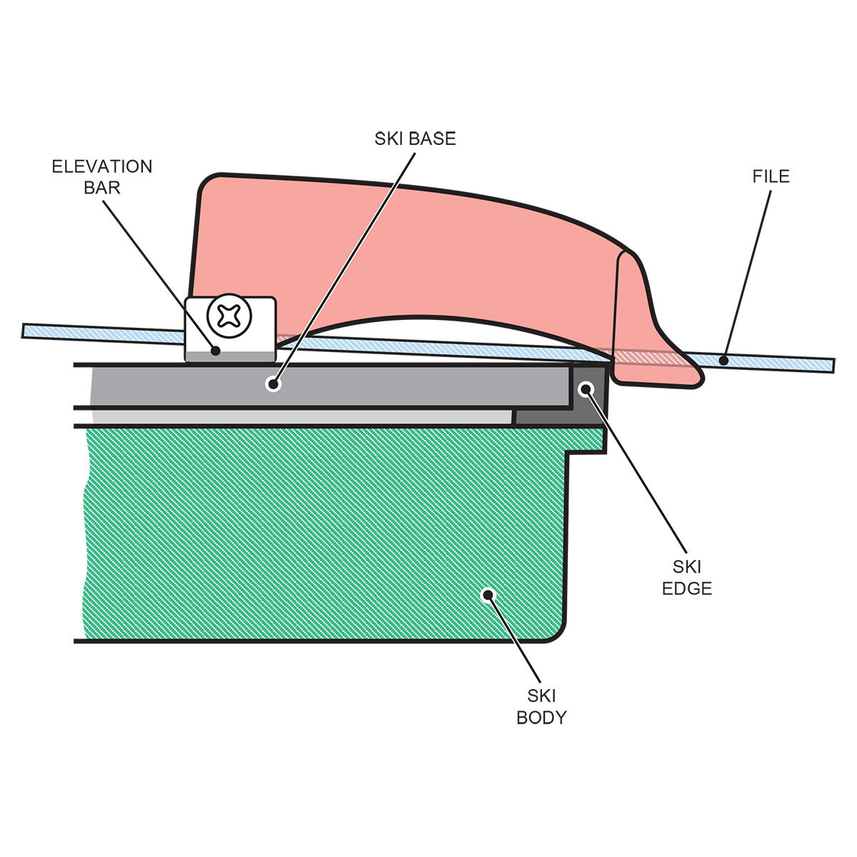 BEAST-Base-Diagram.jpg