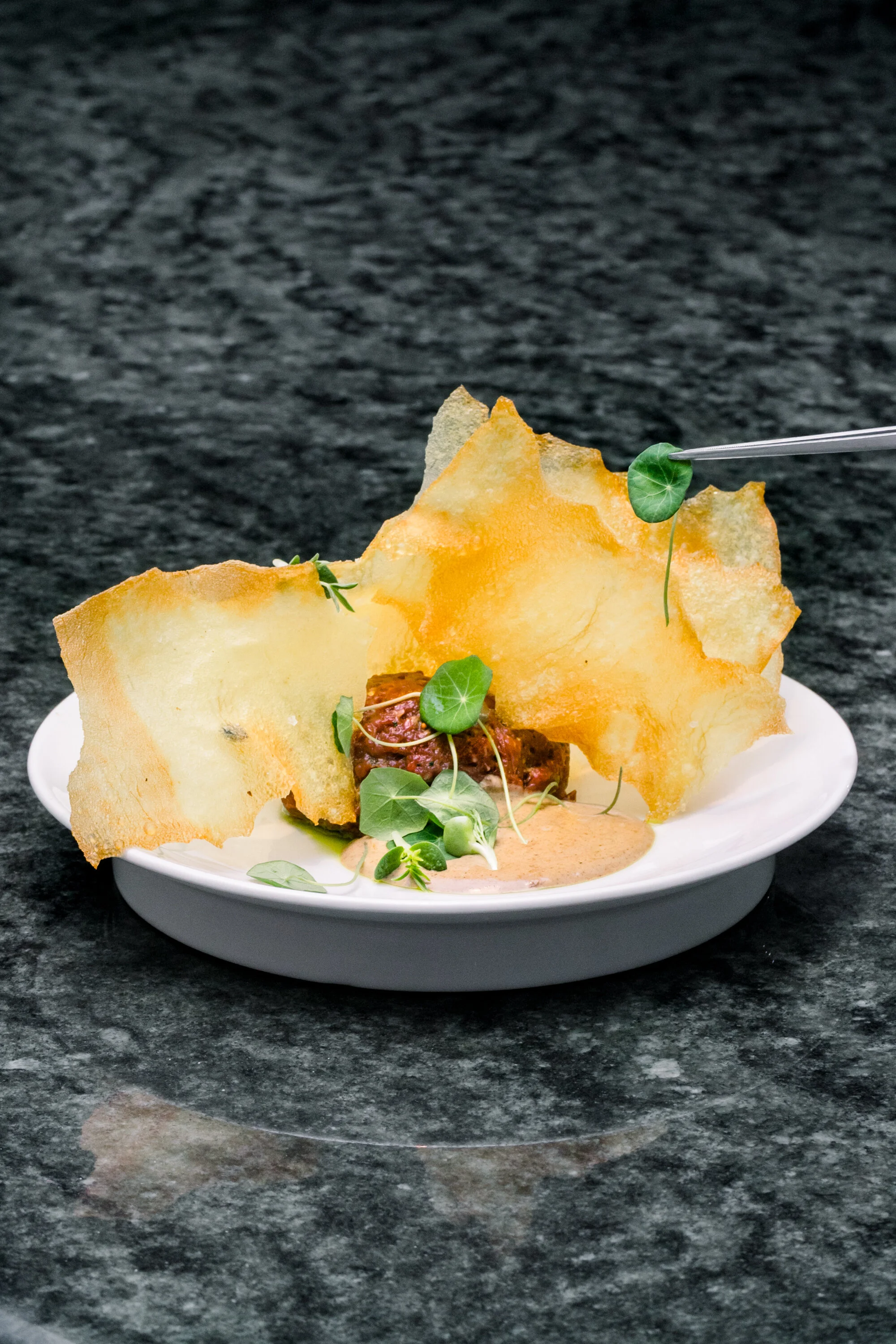Gourmet dish with thin crispy chips, meat, leafy greens, and sauce on white plate.