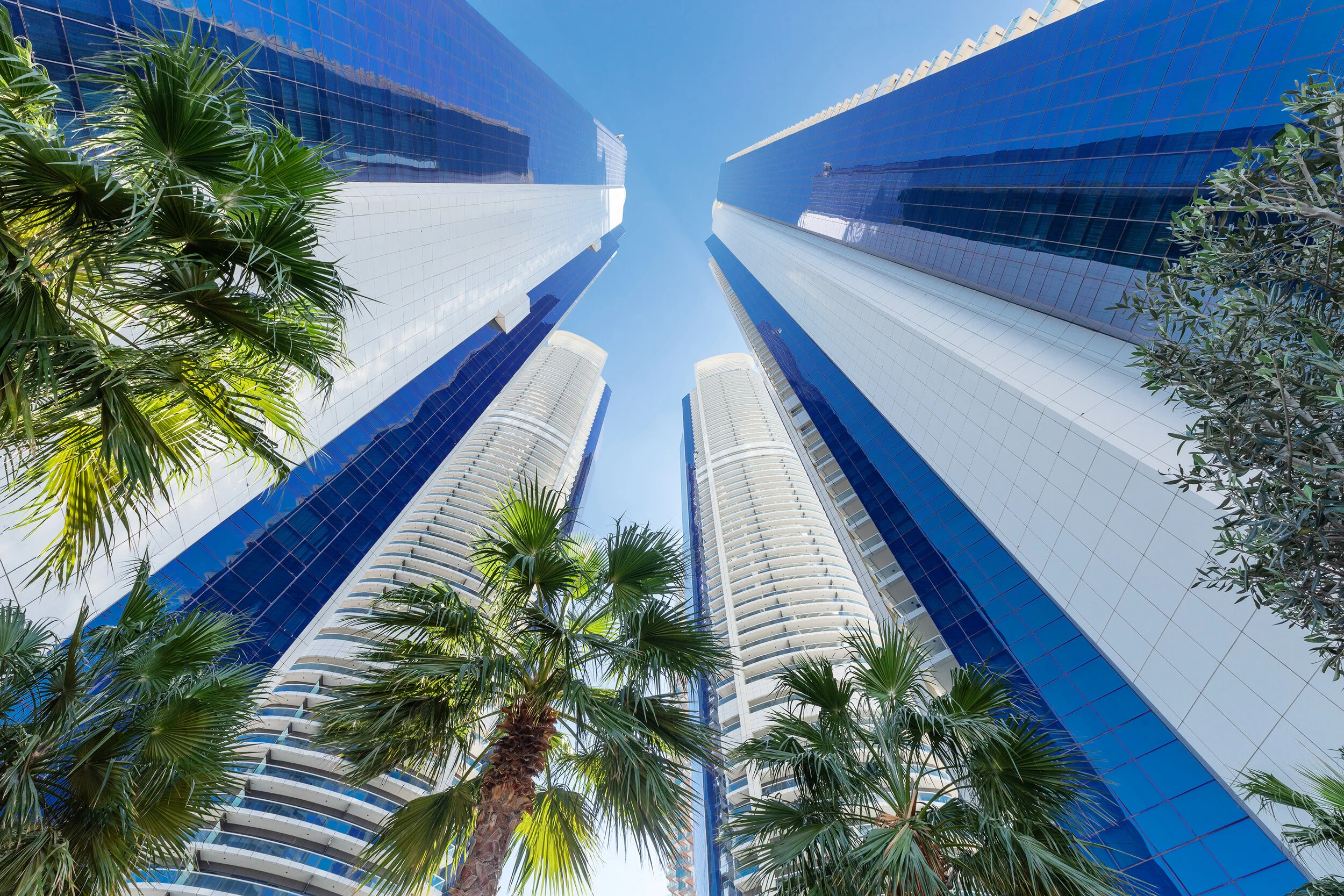 Looking up at tall modern skyscrapers and palm trees against a clear blue sky.