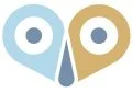 Abstract owl logo with blue and brown elements