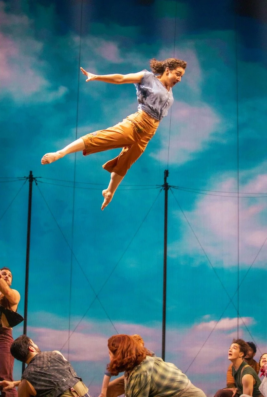 Water For Elephants - Imperial Theater