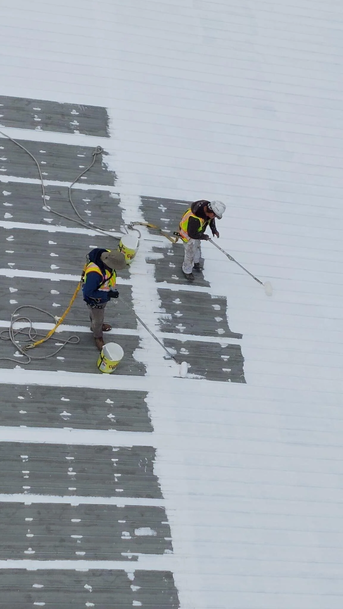 bellevue painters applying coating with safety equipment on roof with rollers