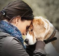 Lucky’s Love