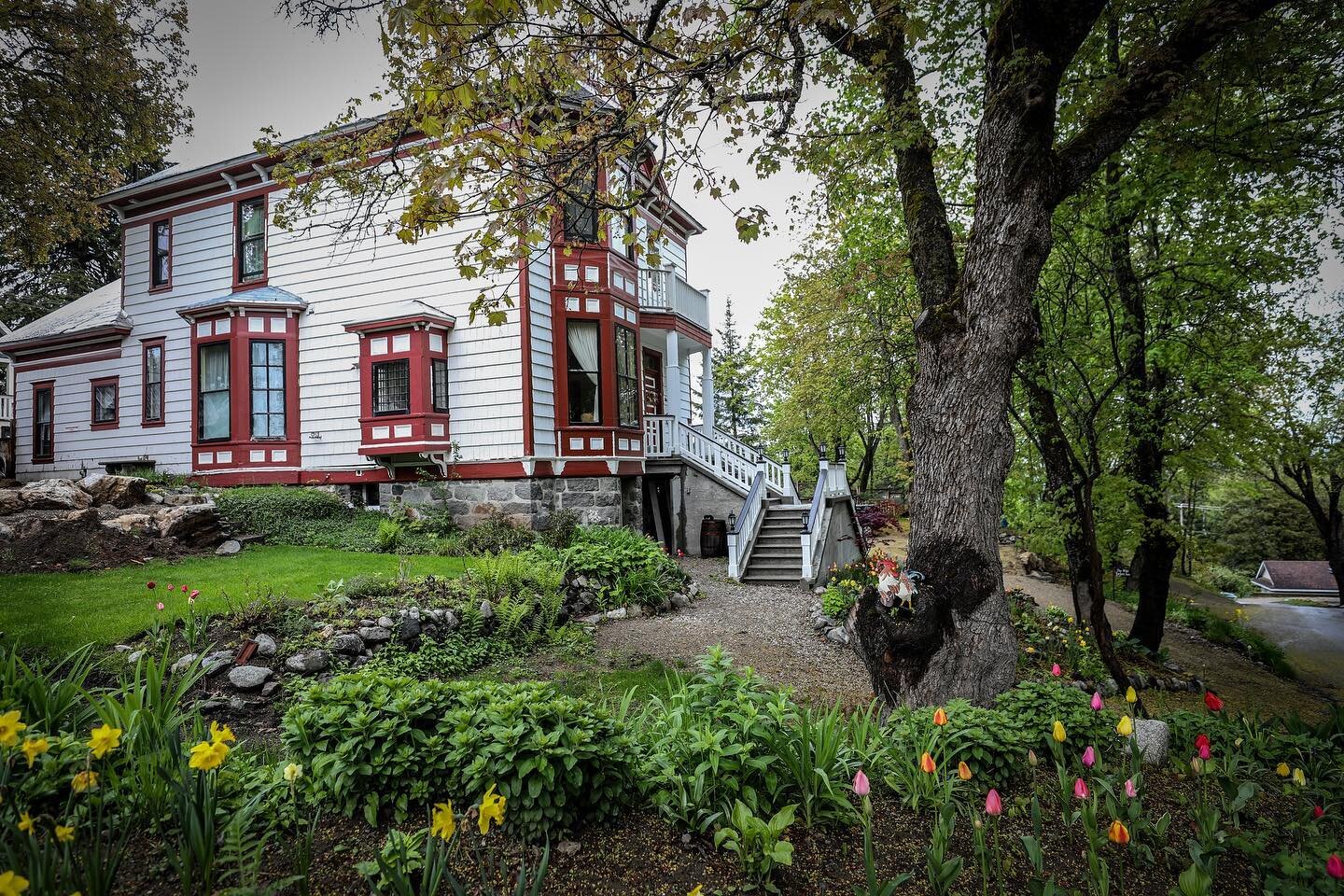 When honeymooners leave reviews like this, our hearts are full! 

&ldquo;The Wild Turkey Inn is exceptional. Walking into the house, up the majestic stairs is an exciting experience. From the outside, you can see that this is a special place. But onc