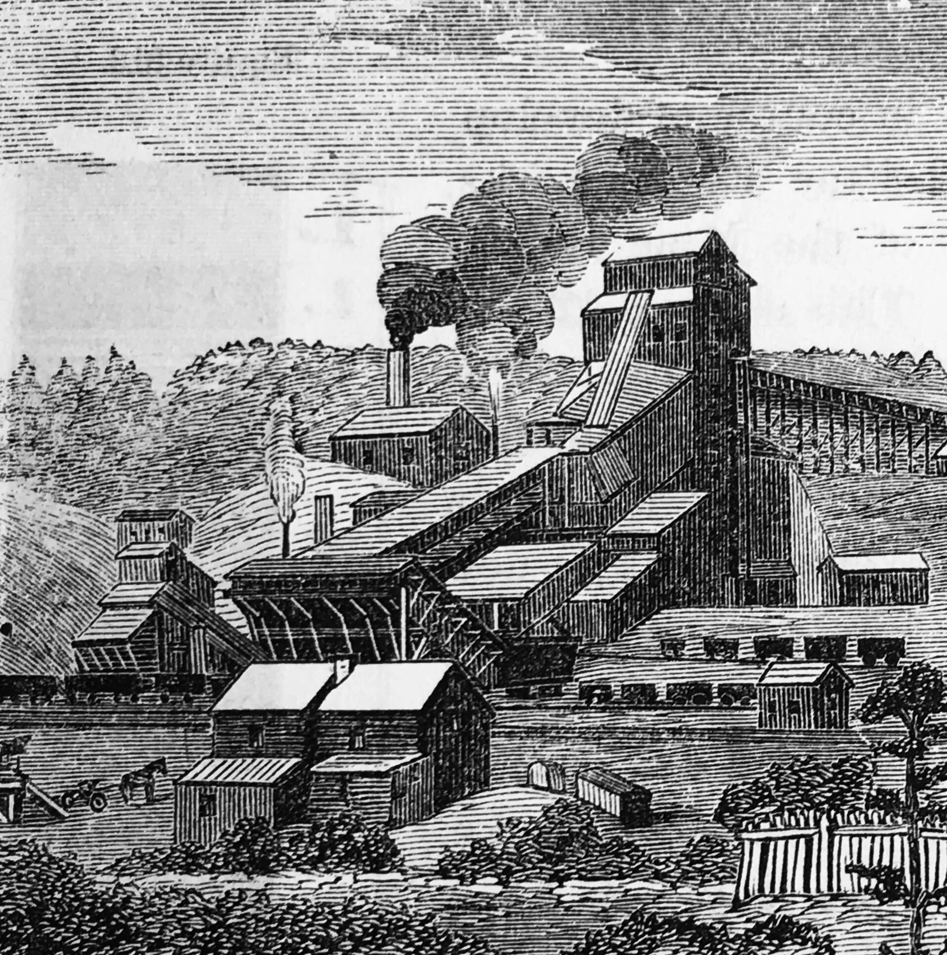 Library Company Coal Images