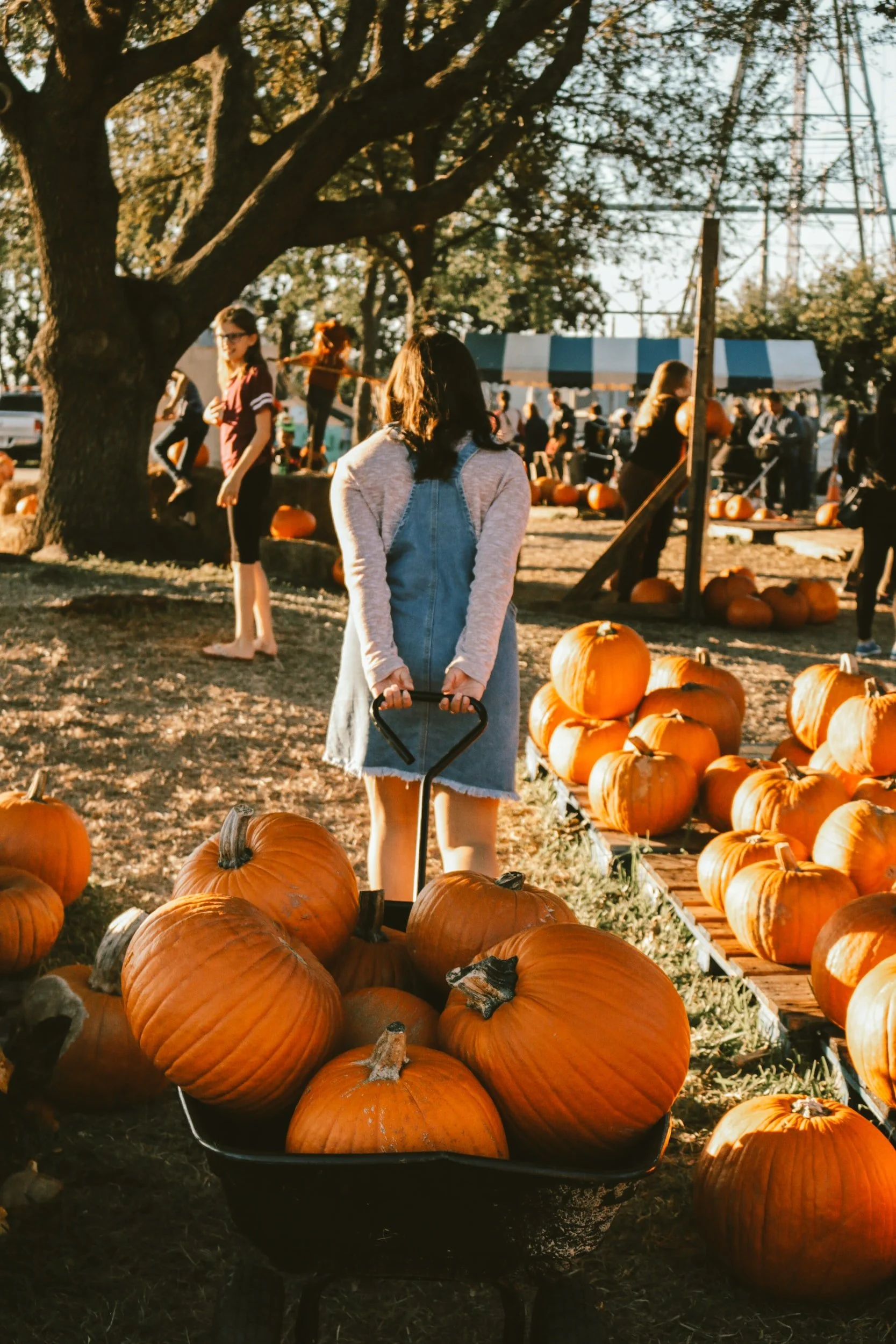 Surviving Thanksgiving in Eating Disorder Recovery