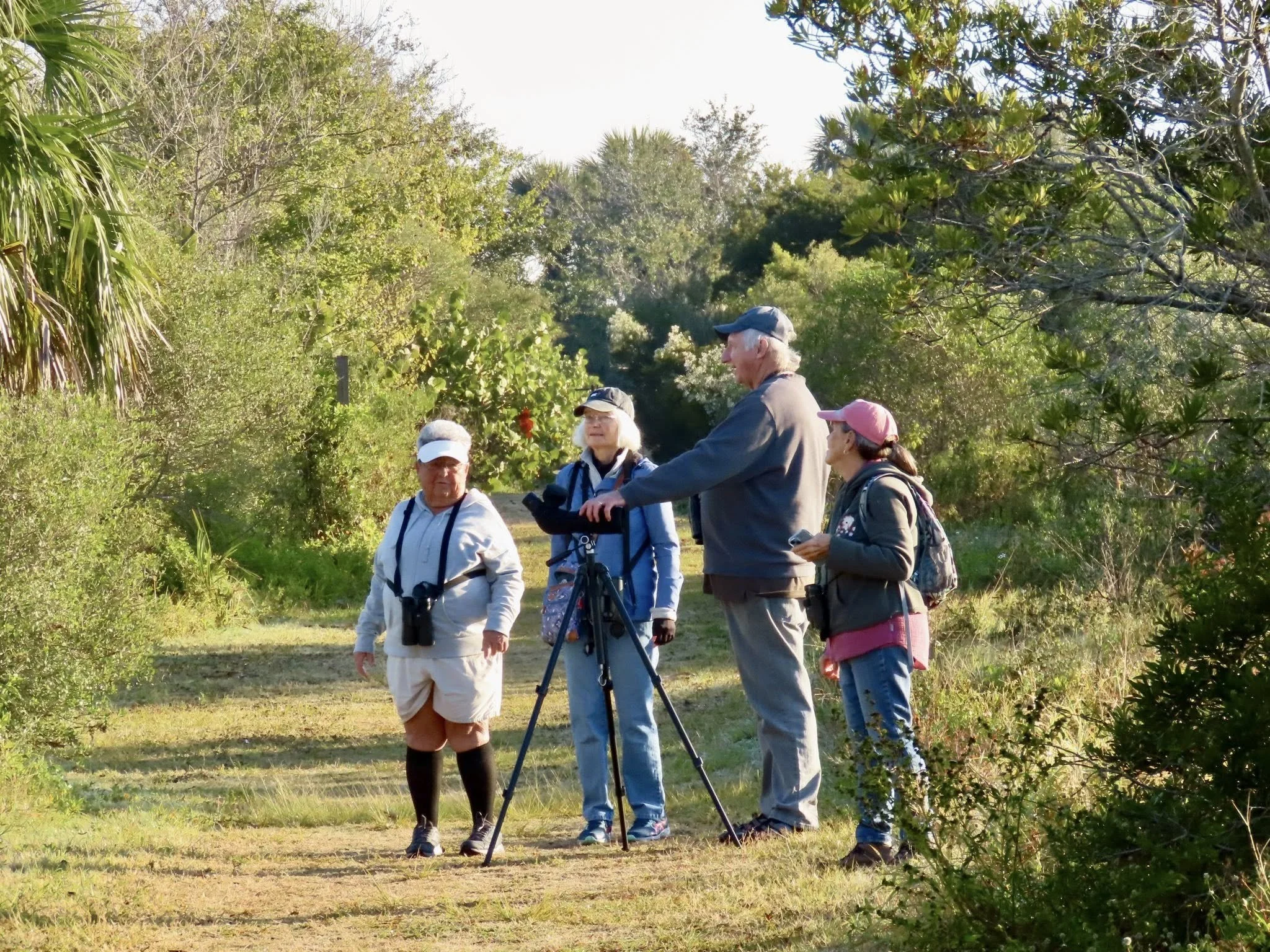 Birding for Beginners