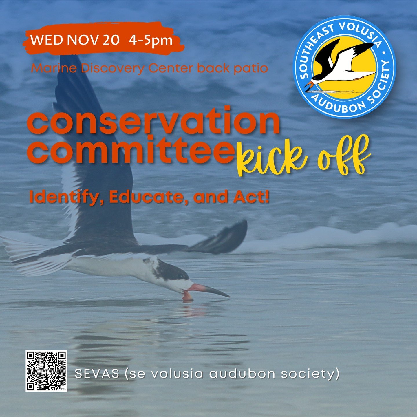 Concerned about climate change, over-development, shorebird habitat, flooding, and other pressing issues?
🌿
Join us for a one-hour organizational meeting. The agenda is to see who is interested, clarify immediate achievable goals, and develop direct