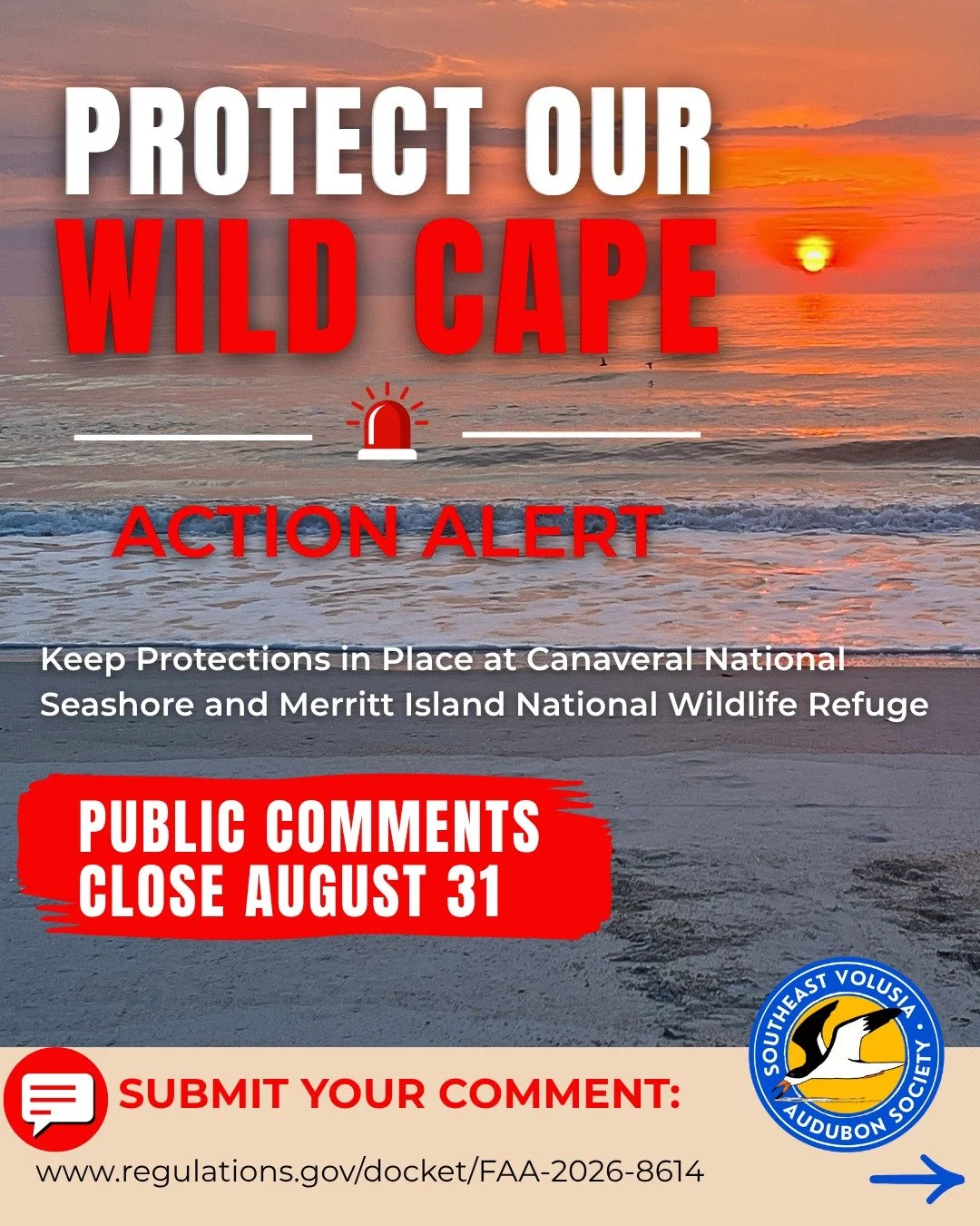 🚨 PROTECT OUR WILD CAPE

The FAA is proposing to waive major environmental protections for commercial space launch activities&mdash;and Cape Canaveral is unlike any ordinary launch site.

Merritt Island National Wildlife Refuge and Canaveral Nationa