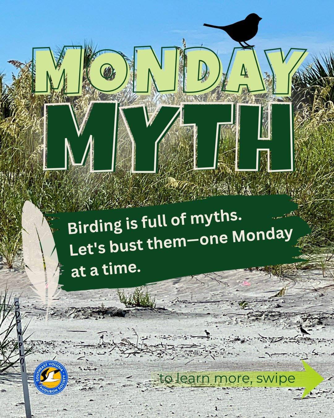 🐦 Monday Myth is here!

Birding is full of old sayings, well-meaning advice, and misconceptions that have been passed from one generation to the next. Some are true&hellip; and some definitely aren't!

This week's question: If you touch a baby bird,