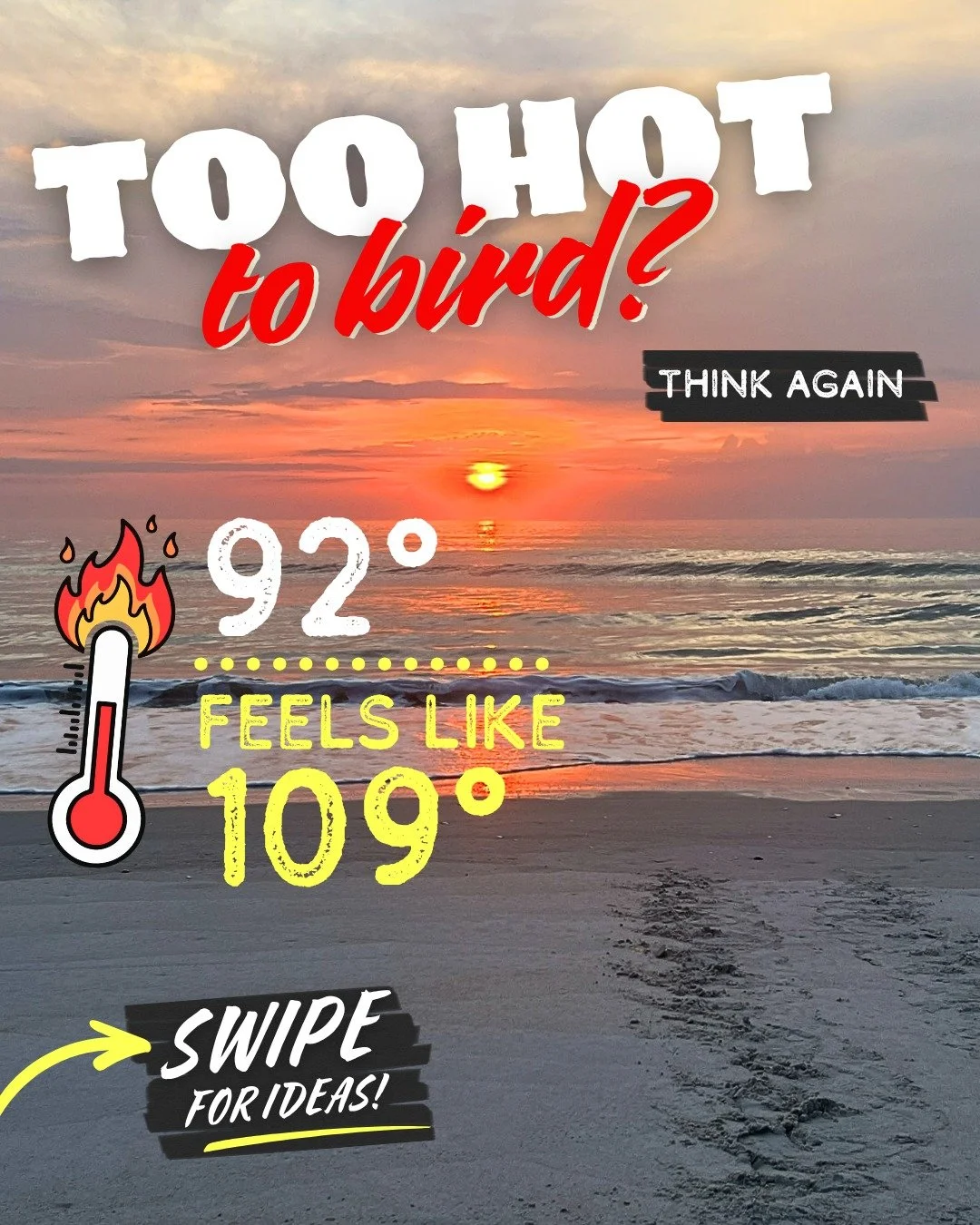 🥵🥵 When summer feels like a sauna, birding isn't canceled.
Just... adapted.

Birding isn't just hiking. It's apps, bird songs, books, games, life lists, and yes&mdash;even movies. No matter what kind of birder you are, there's always something new 