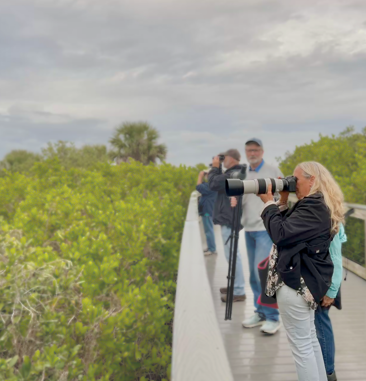 sev photog boardwalk.png