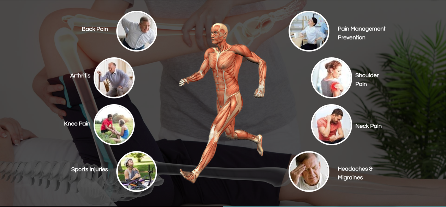 Illustration of the human muscular system demonstrating posture alignment and movement, surrounded by icons representing common areas of physical discomfort and mobility challenges.