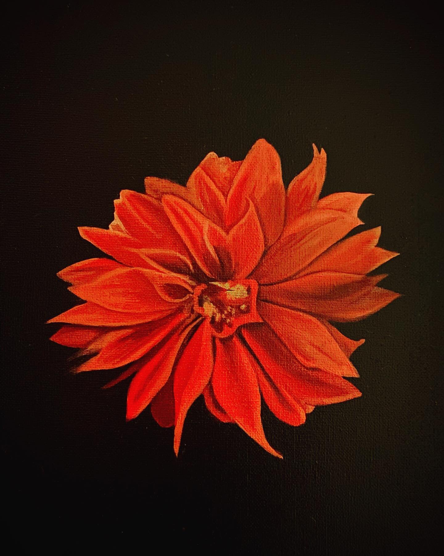 New small painting of a flower from my sister&rsquo;s garden:

&ldquo;Dahlia&rdquo;
Oil on Canvas
12&rdquo; x 9&rdquo;