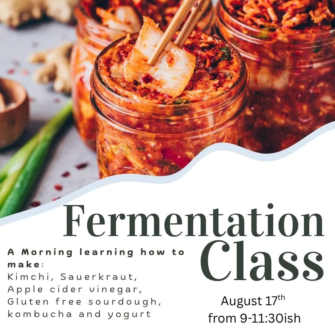 Fermentation Class