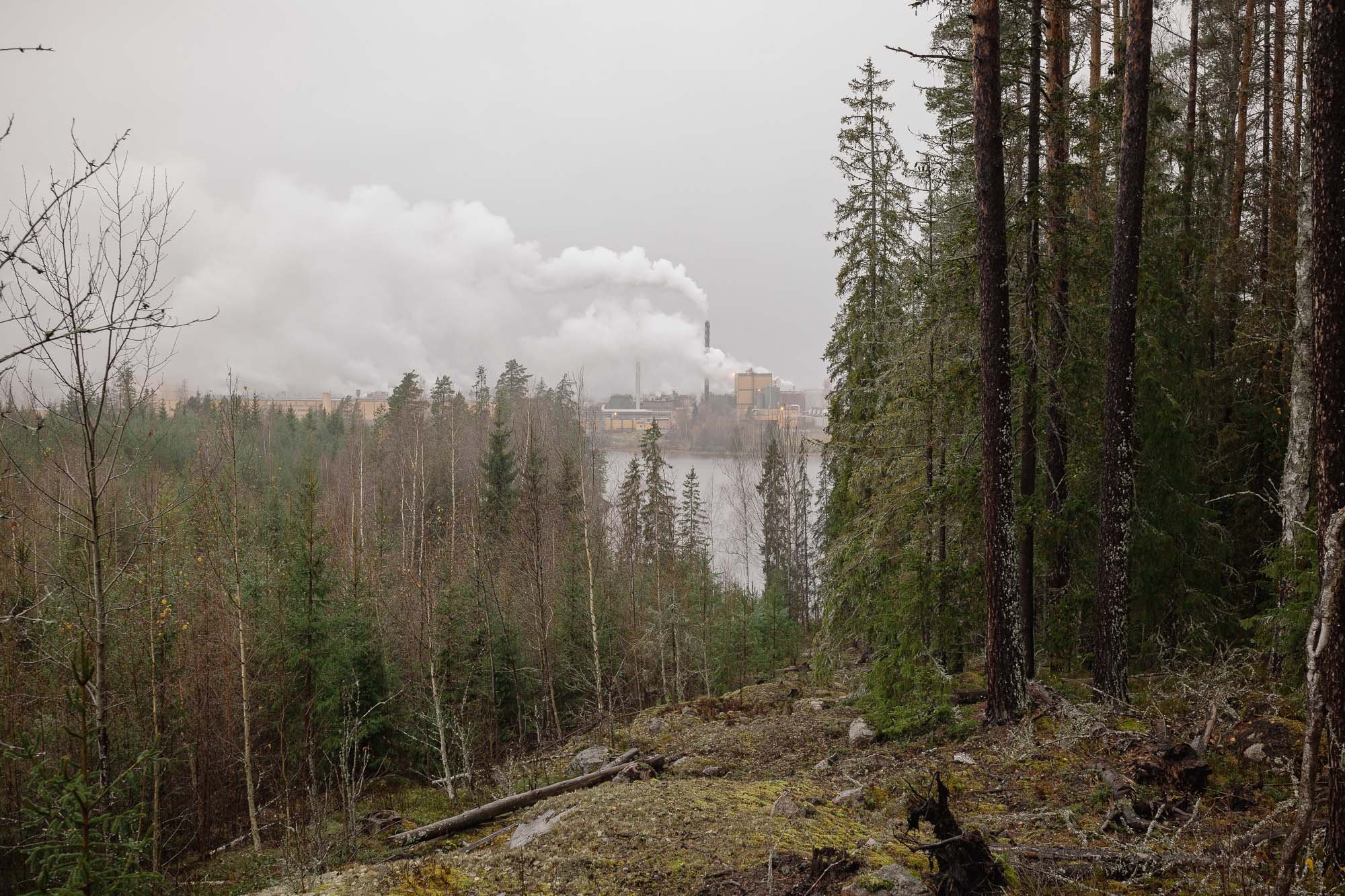 storaenso webb-7.jpg