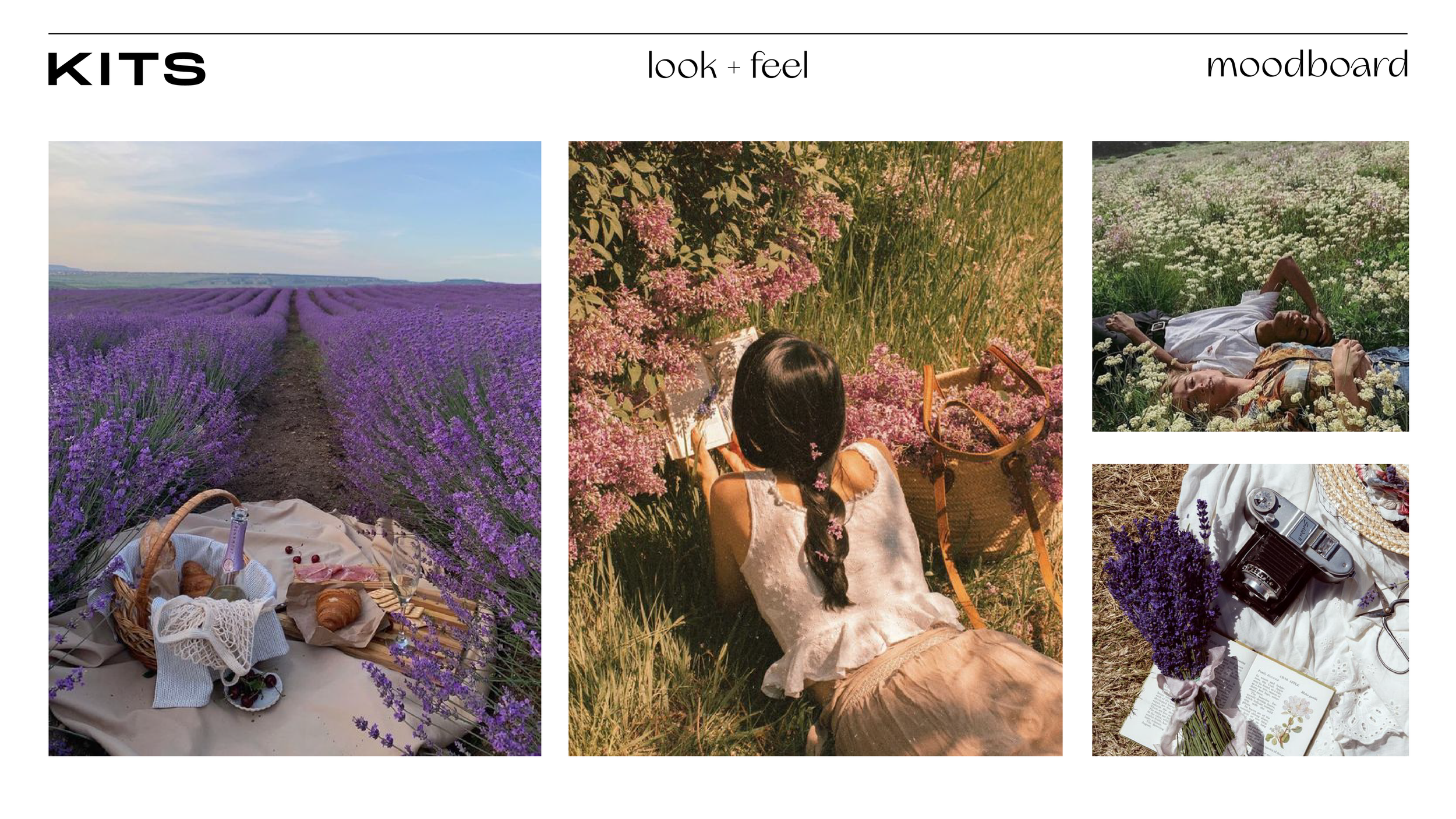ProvenceShoot_Moodboard-03.png