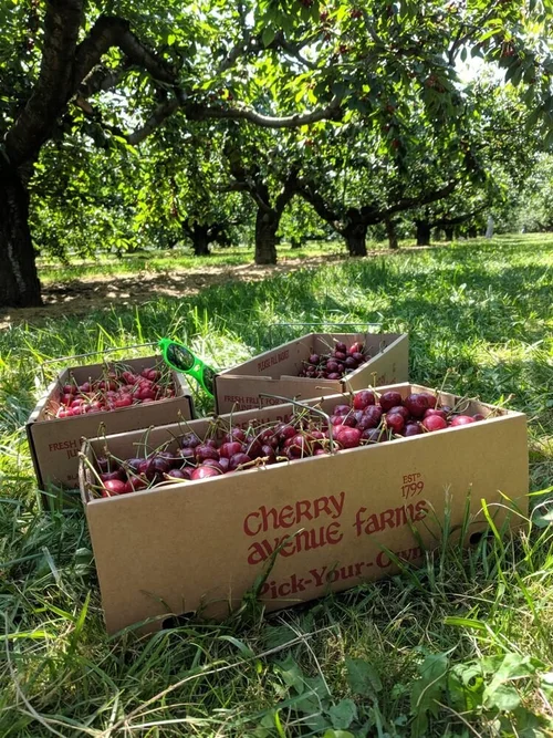 Our Instructors — Cherry Avenue Farms