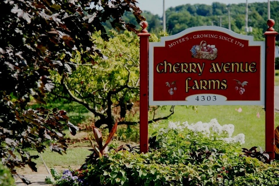 Cherry Avenue Farms