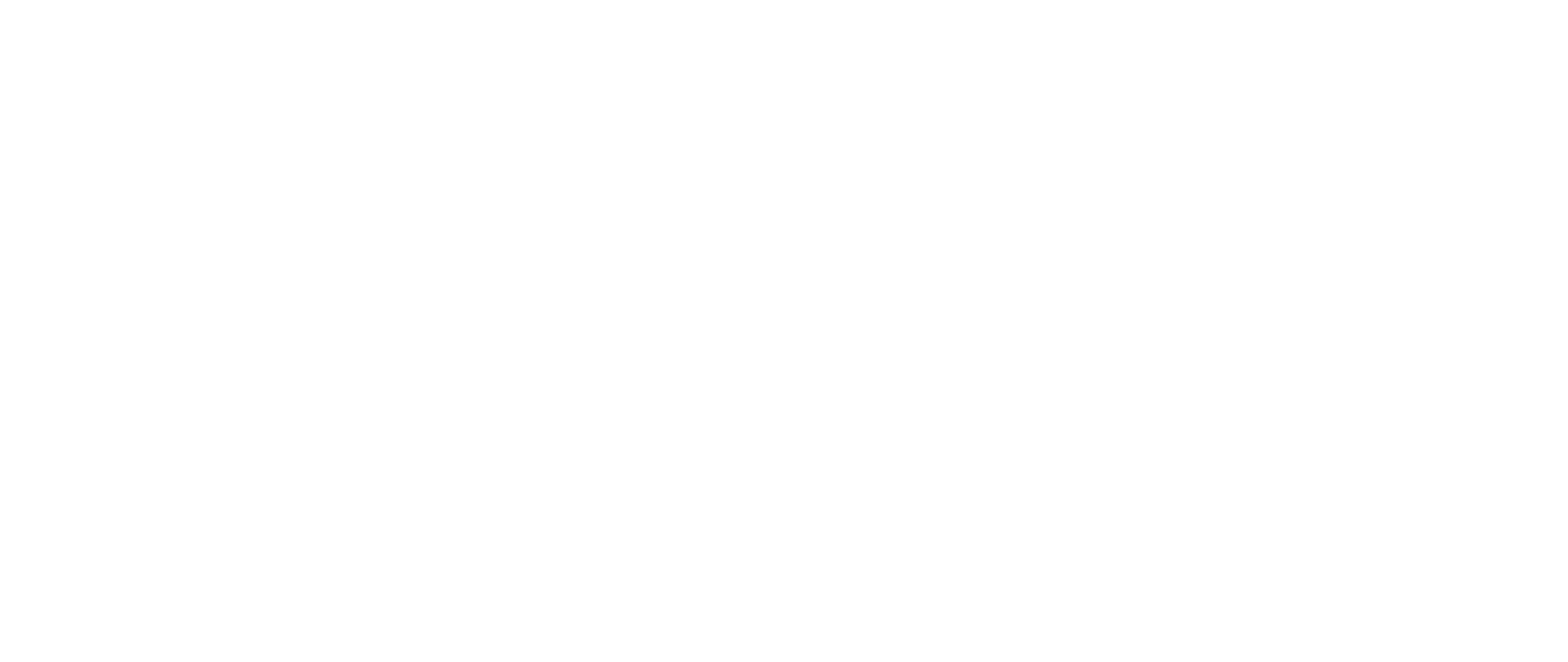 Ariel Piazza