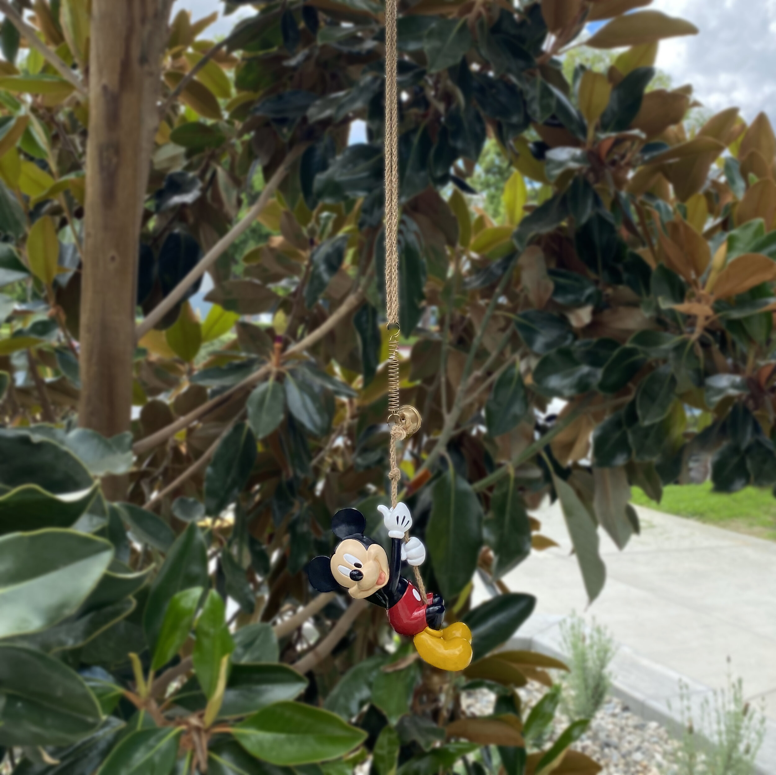 MICKEY SWING N RING_5.jpg