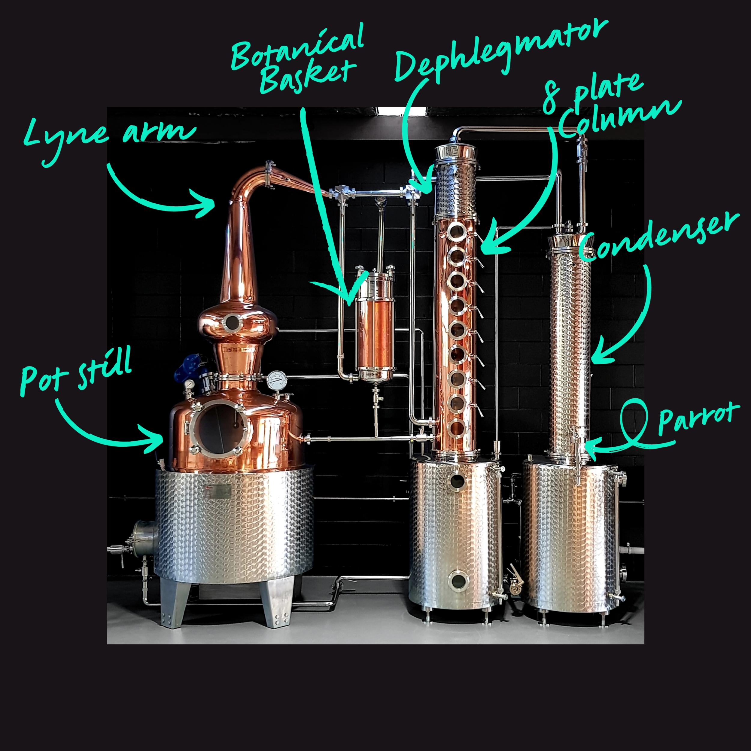 500L Copper Pot Still with botanical basket and eight plate column